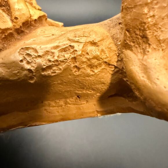 Vtg Dave Grossman 1973 Lazy Lion Sculpture Signed and Dated - Picture 5 of 8